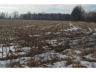Property photo 22 - FARMLAND AUCTION, 60+/- Acres in 6 Tracts ranging from 4 to 20 acres & in combinations!